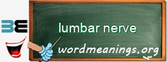 WordMeaning blackboard for lumbar nerve